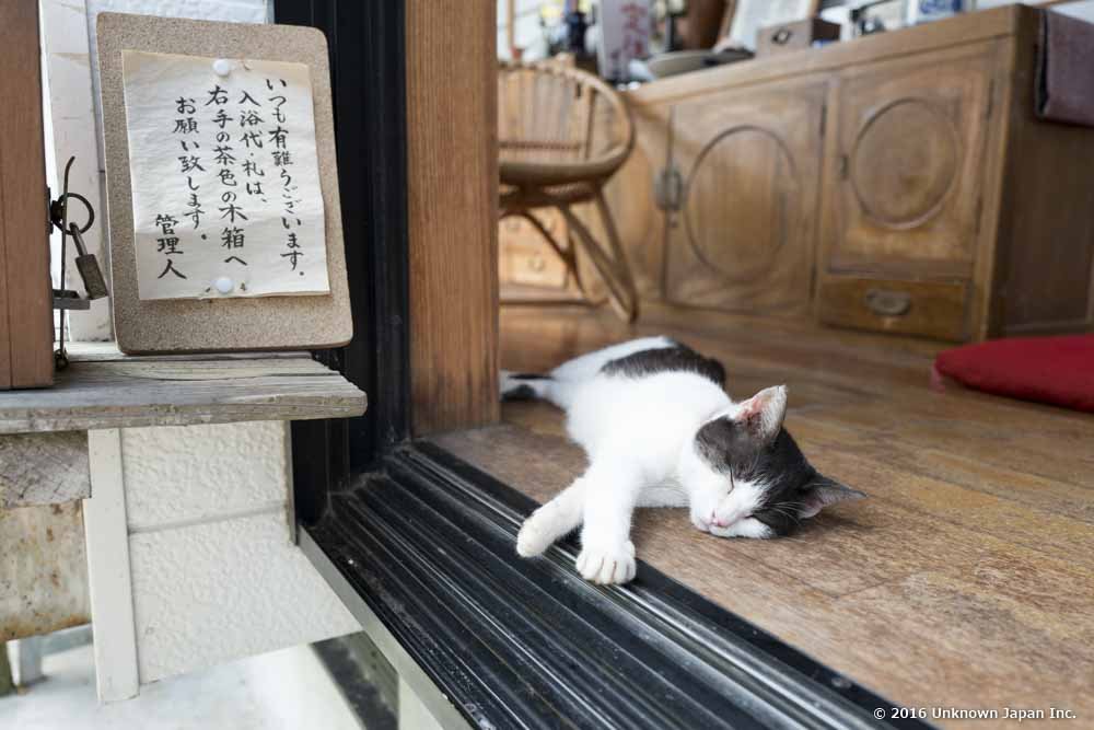 ♨️ 마을 온천(무라노유 온천) 이미지 8